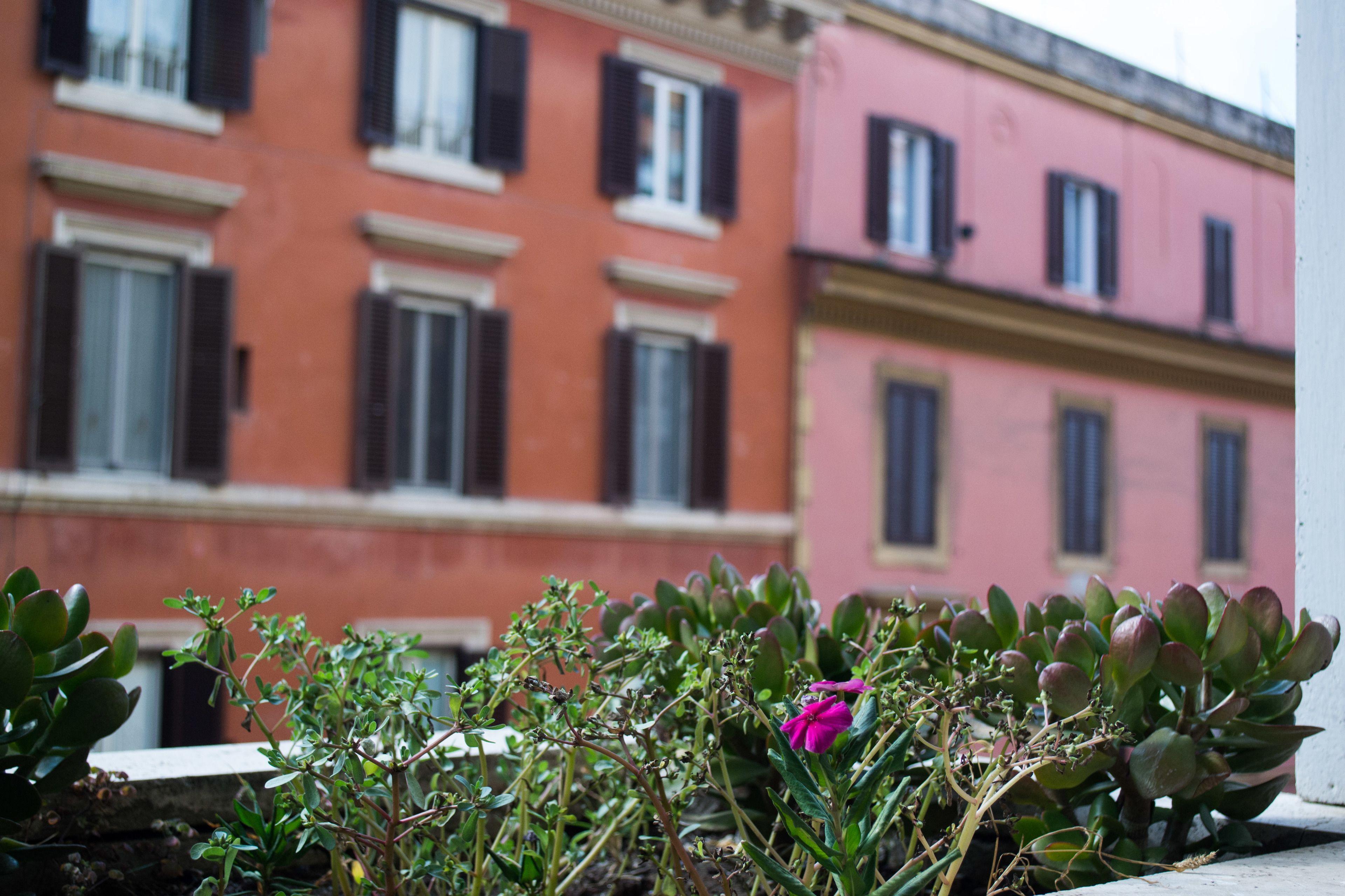Porta Pia Rooms - Rome, Rome